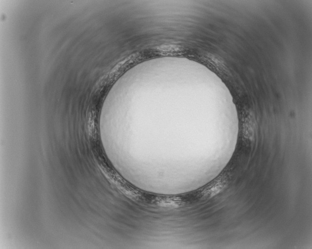 X0000052600618200507292124