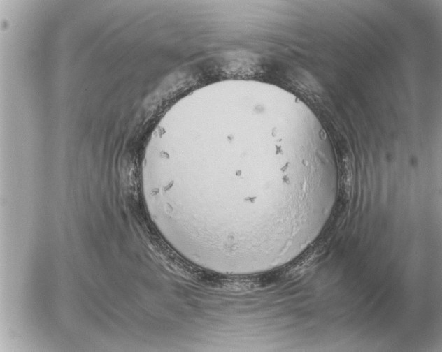 X0000052600619200507292124