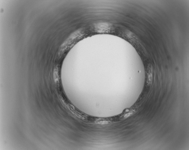 X0000052600620200507292124