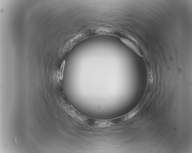 X0000052600621200507292124