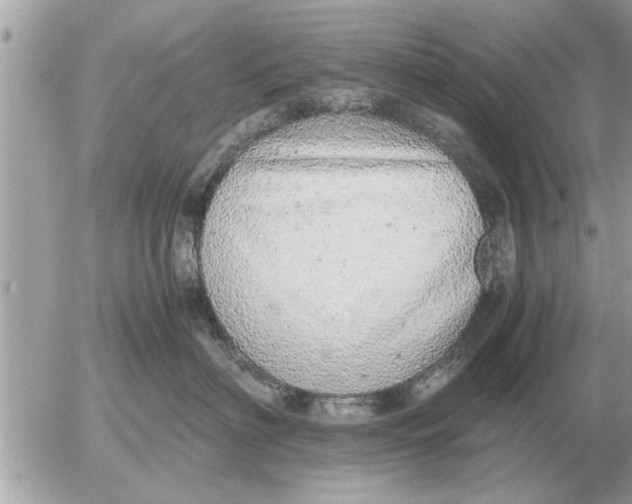 X0000052600622200507292124