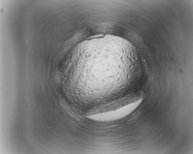 X0000052600623200507292124