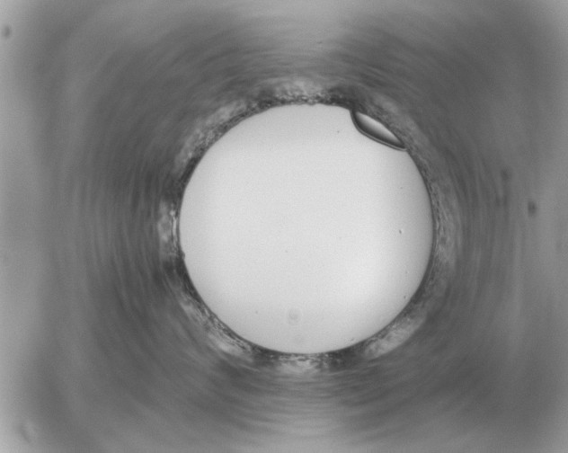 X0000052600624200507292124