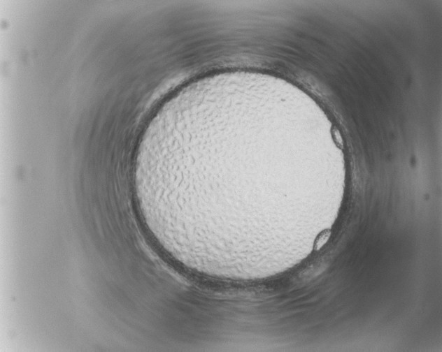 X0000052600625200507292123