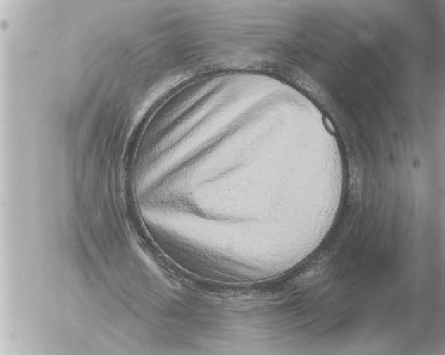 X0000052600626200507292123