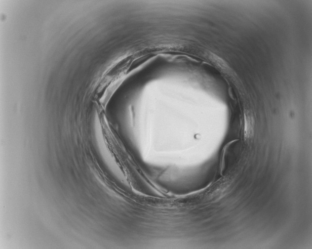 X0000052600627200507292124