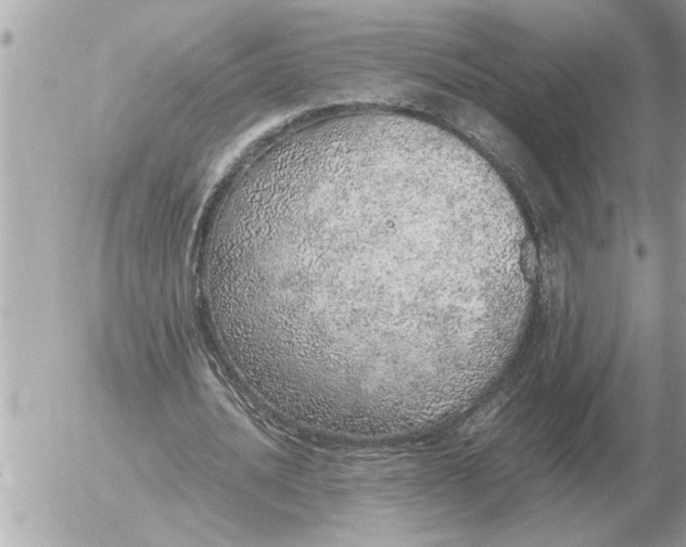 X0000052600628200507292124