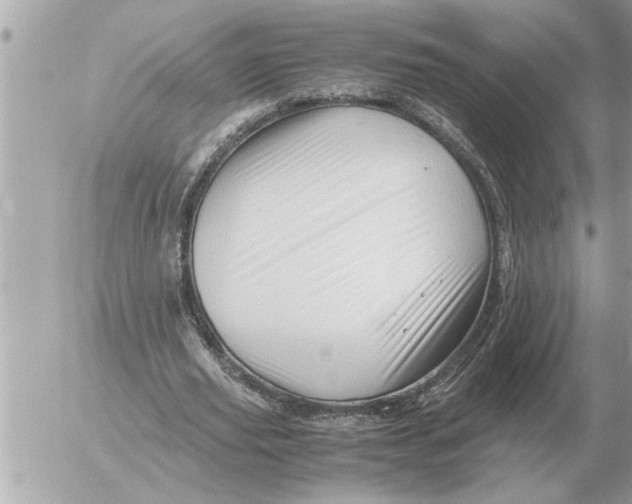 X0000052600629200507292124