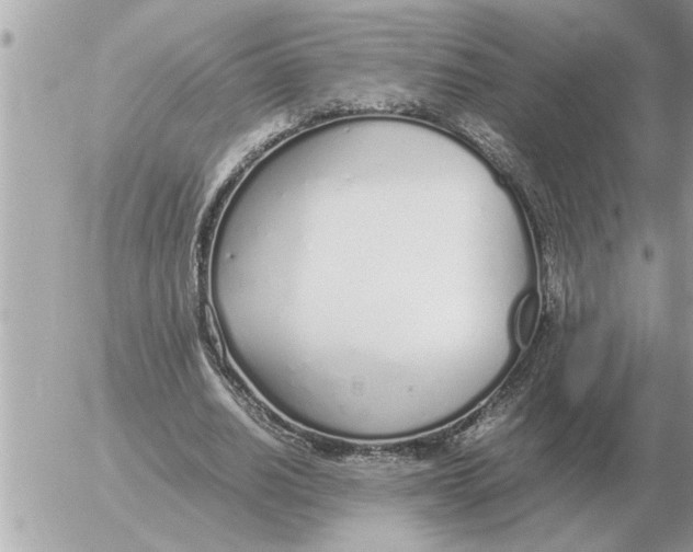 X0000052600630200507292124