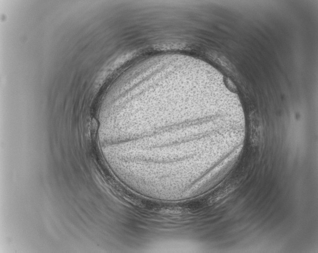 X0000052600631200507292124