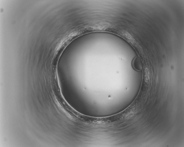 X0000052600634200507292124