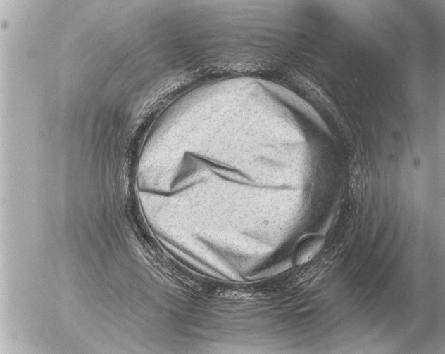 X0000052600635200507292124