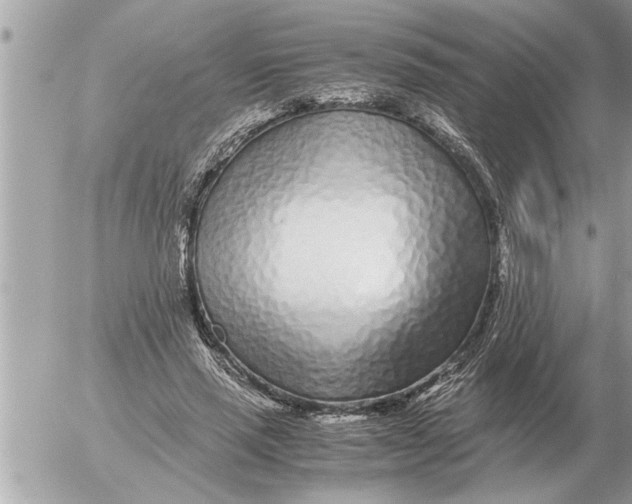 X0000052600637200507292124