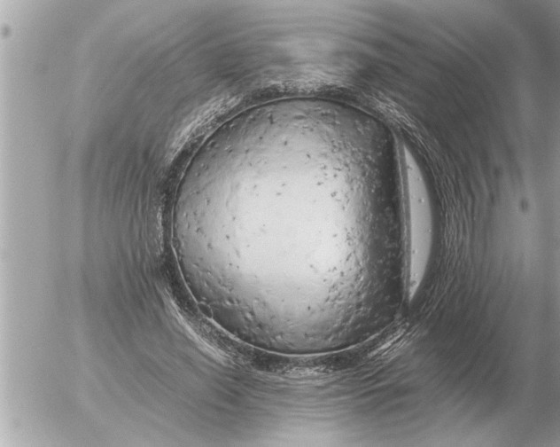 X0000052600638200507292124