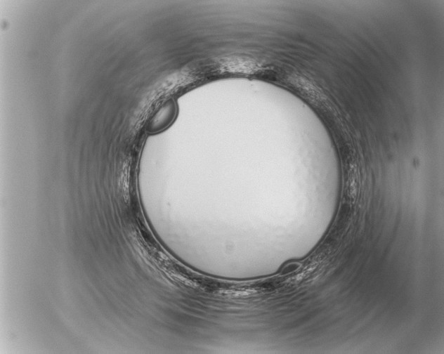 X0000052600639200507292124