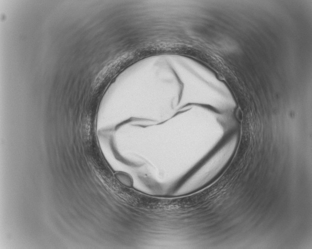 X0000052600640200507292124