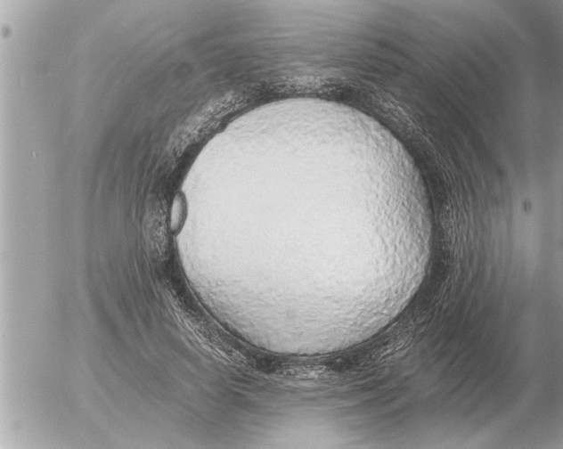 X0000052600642200507292124