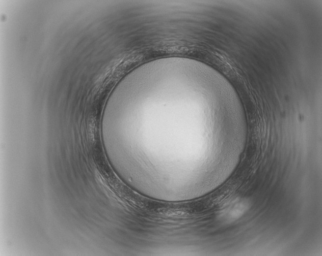 X0000052600643200507292124