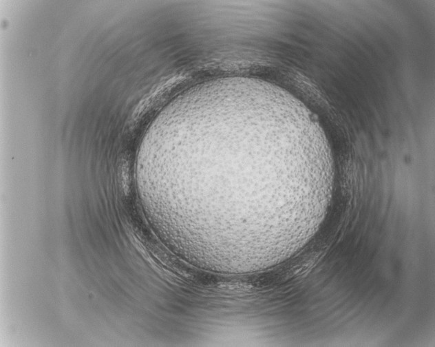 X0000052600644200507292124