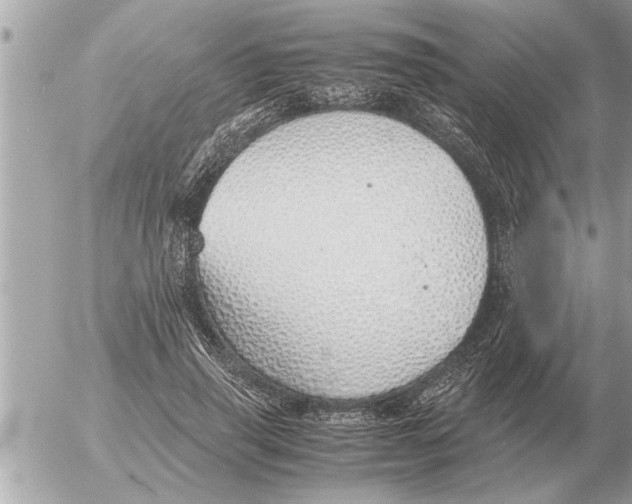 X0000052600645200507292124