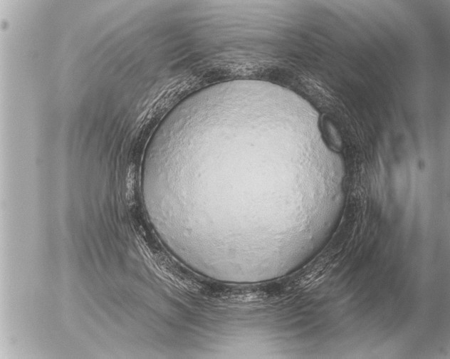 X0000052600646200507292124