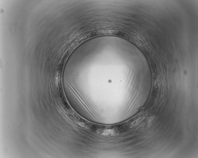 X0000052600647200507292124