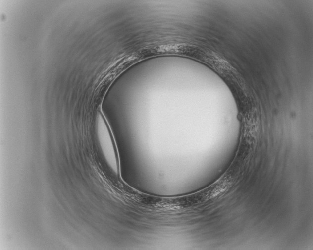 X0000052600648200507292124