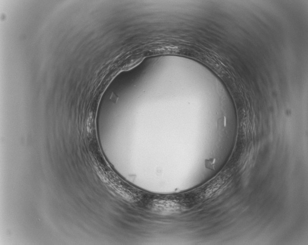 X0000052600649200507292124