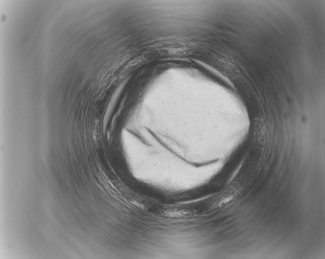 X0000052600650200507292124