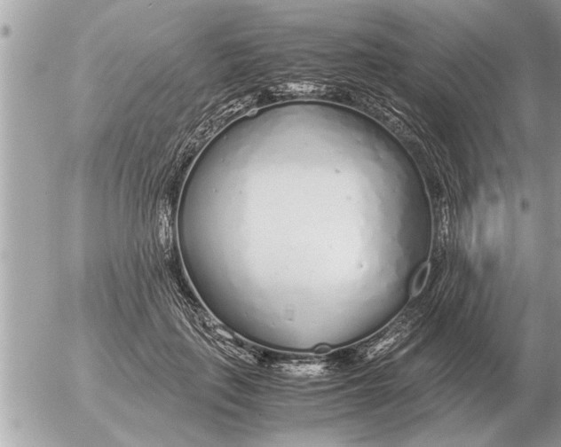 X0000052600651200507292124