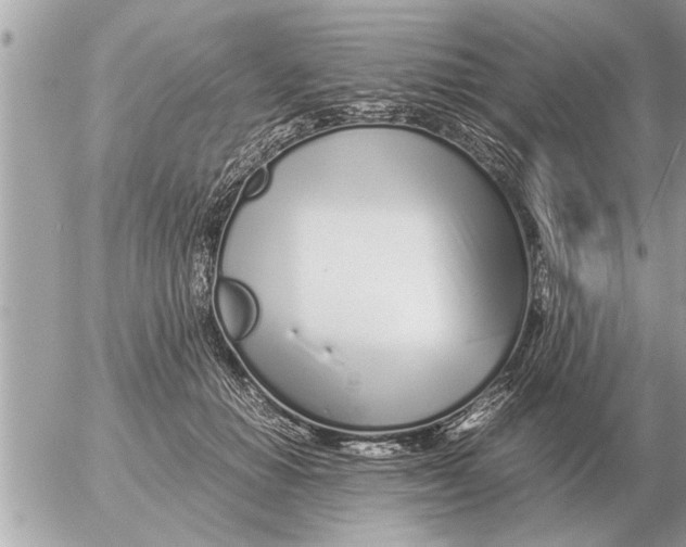 X0000052600654200507292124