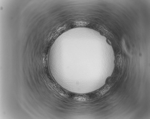 X0000052600655200507292124