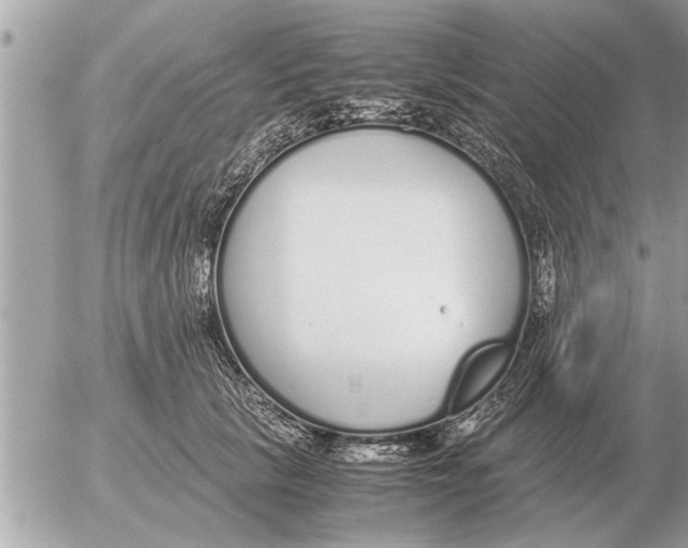 X0000052600657200507292124