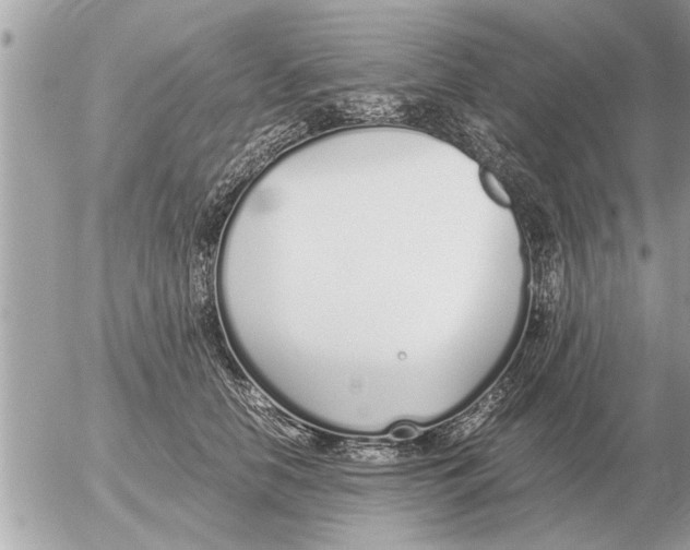 X0000052600658200507292124