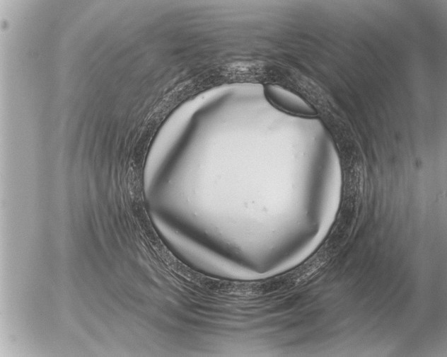 X0000052600659200507292124