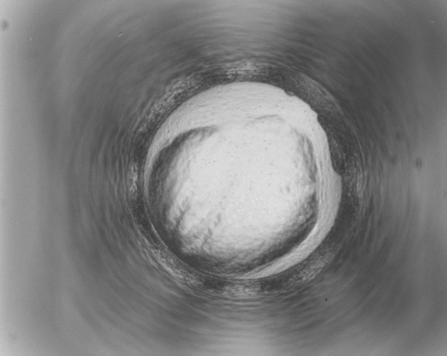 X0000052600660200507292124