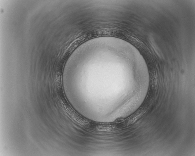 X0000052600661200507292124