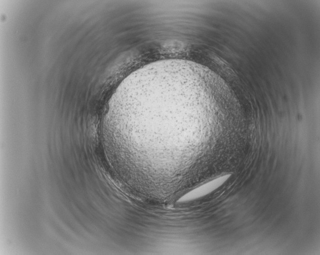 X0000052600662200507292124