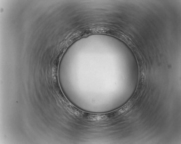 X0000052600663200507292124