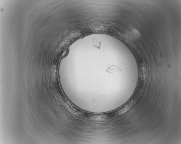 X0000052600664200507292124