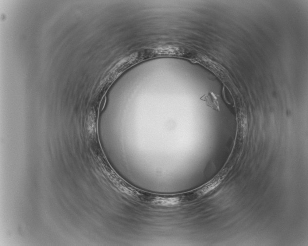 X0000052600665200507292124