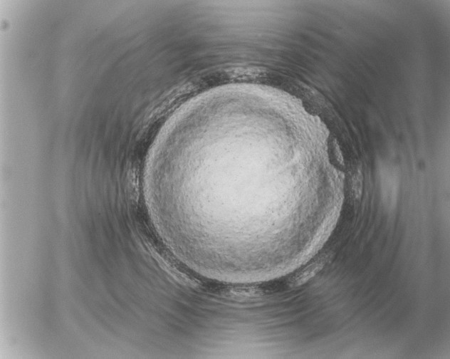 X0000052600666200507292124