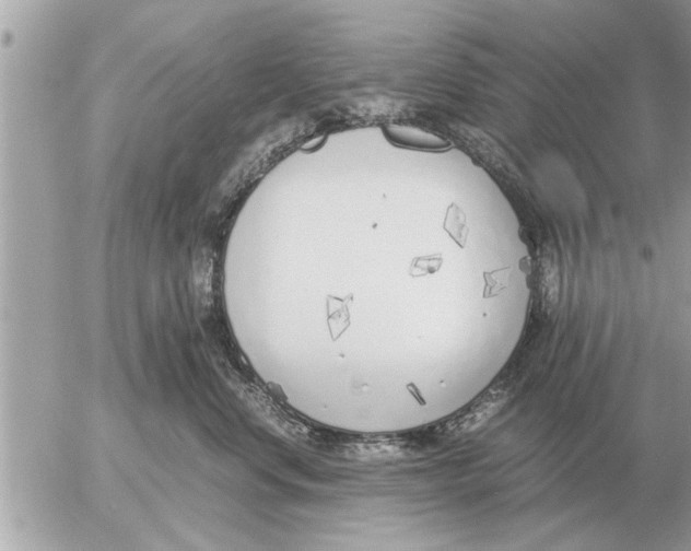 X0000052600668200507292124