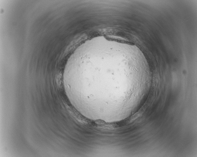 X0000052600671200507292124