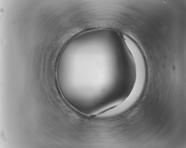 X0000052600673200507292123