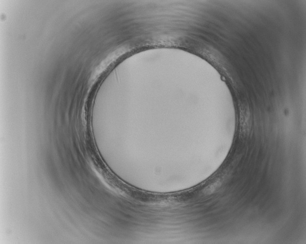 X0000052600674200507292123