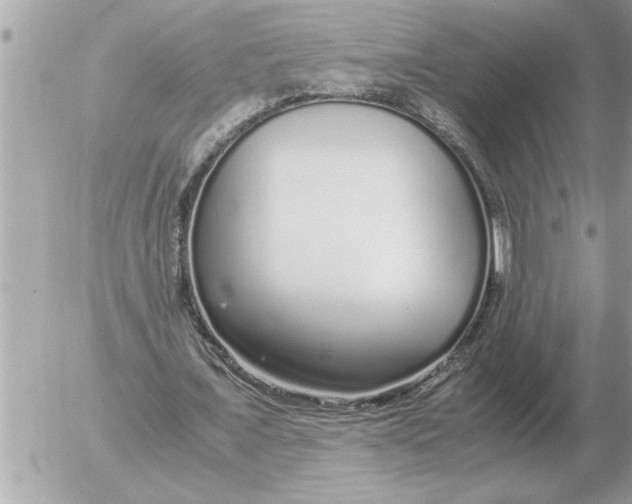 X0000052600675200507292123