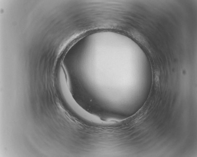 X0000052600676200507292123