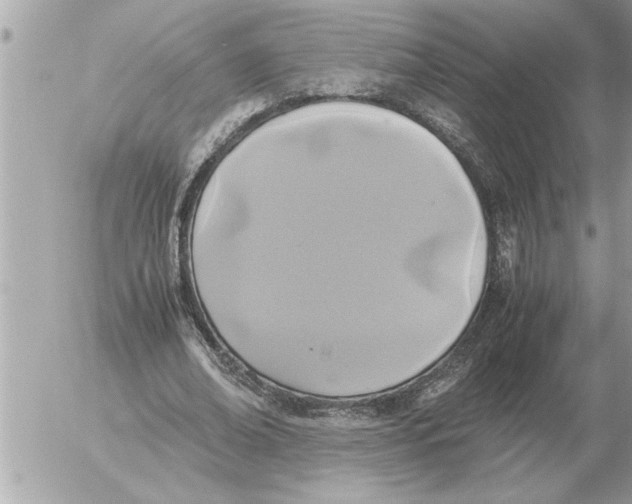 X0000052600678200507292123