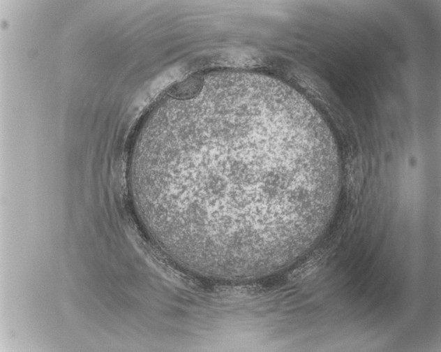 X0000052600679200507292123